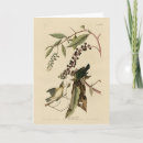 Search for worm cards Illustration