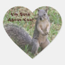 Search for love squirrels stickers Valentine