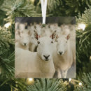 Search for farming christmas tree decorations Livestock
