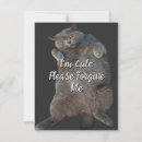 Search for british shorthair cards Kitty