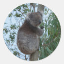 Search for australia kangaroo stickers Cute