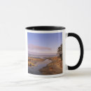 Search for nps mugs Landscape
