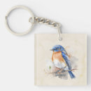 Search for eastern bluebird key rings Animal