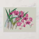Search for dendrobium postcards Botanical