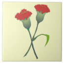 Search for carnation tiles Nature