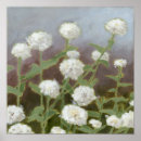 Search for botanical study posters Flowers