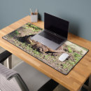 Search for snap mouse mats Photography
