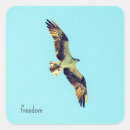 Search for osprey stickers Nature