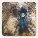 Search for watcher photography Bird lover