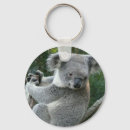 Search for koala key rings Zoo