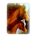 Search for maree magnets Filly