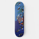 Search for orca skateboards Wildlife