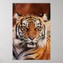 Search for panthera posters Adam jones