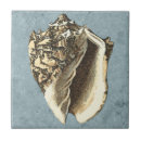 Search for nautical tiles Conch