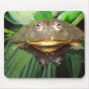 Search for burrowing mouse mats Frog