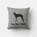 Search for whippet cushions Puppy