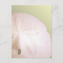 Search for object postcards Sea