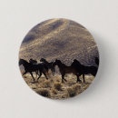 Search for mustang badges Mountains