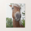 Search for funny horse puzzles Photography