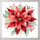 Search for poinsettias posters Christmas flowers