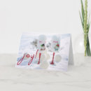 Search for photo note cards Typography