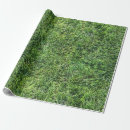 Search for green grass wrapping paper Fun