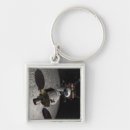 Search for orion key rings Outdoors