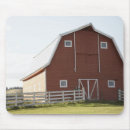 Search for barn standard mouse mats Agriculture