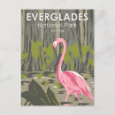 Search for florida everglades postcards Swamp