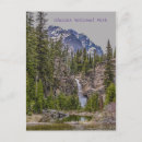 Search for fall tree vertical postcards Green