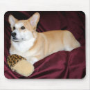 Search for welsh corgi mouse mats Canine