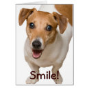 Search for happy jack Dog