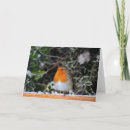 Search for robin redbreast christmas cards Winter