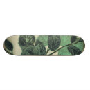 Search for backgrounds skateboards Graphic