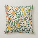 Search for fruit cushions William morris