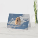 Search for golden retriever valentines day cards Puppy
