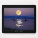 Search for orca whale electronics Wildlife