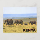 Search for elephant postcards Africa