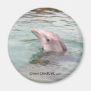 Search for palm tree stamp magnets Tropical