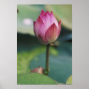 Search for hangzhou art Blossom