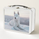 Search for husky lunch boxes Pet