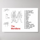 Search for meridian chart posters Shiatsu