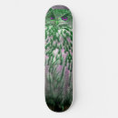 Search for owl skateboards Nature