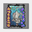 Search for possum magnets Animal
