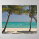 Search for windsurfing posters Coast