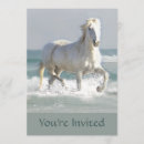 Search for colt invitations Horse