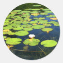 Search for padding stickers Pads