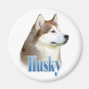 Search for huskies magnets Chukcha