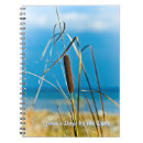 Search for sedge Cattails