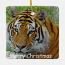 Search for wild animal christmas tree decorations Safari